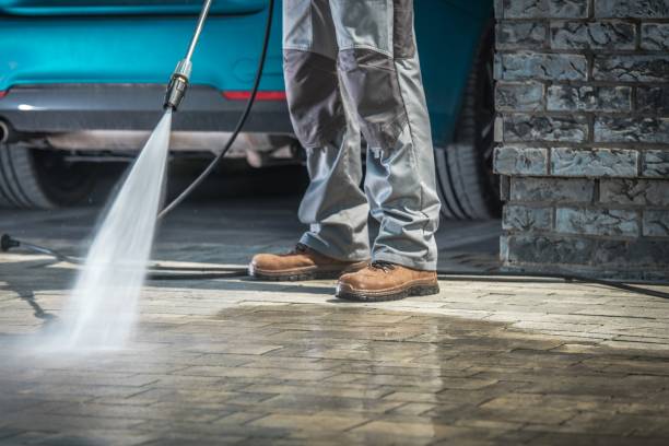 Best Boat and Dock Cleaning  in Rainbow City, AL